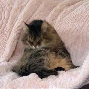 Meet your Posher, Angela